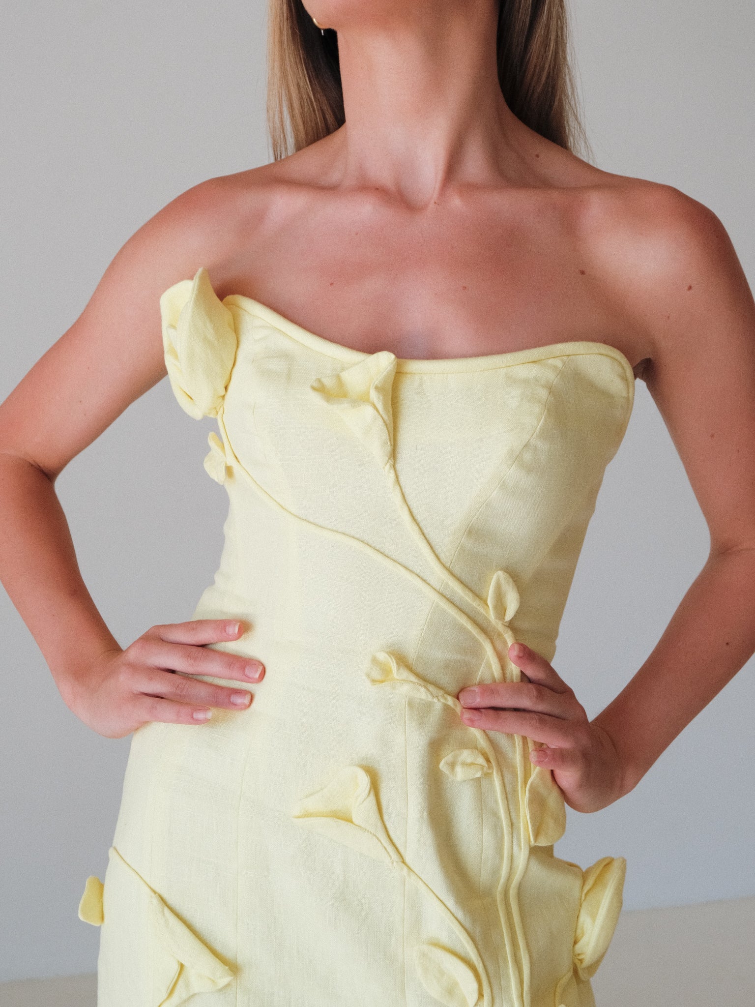 'Matchmaker' Rose Appliqué Mini Dress, Size 0